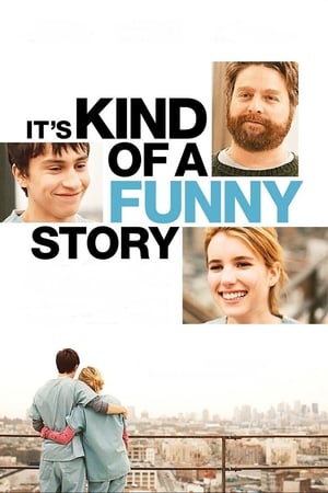 It's Kind of a Funny Story (2010) Dual Audio | Dubbed Hindi Movie BluRay [950MB] ESubs