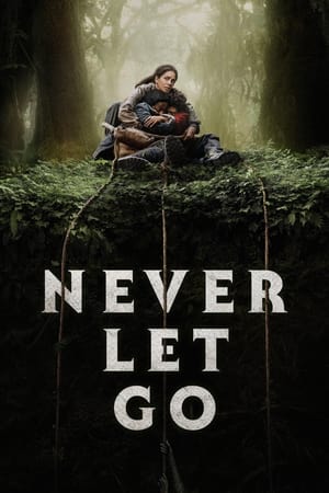 Never Let Go 2024 Dual Audio HDRip | Dubbed Hindi Movie – 720p – 480p