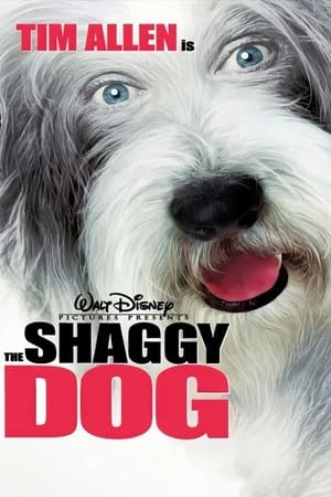 The Shaggy Dog (2006) Dual Audio | Dubbed Hindi Movie BluRay 300MB