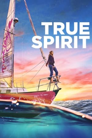 True Spirit (2023) Dual Audio HDRip | Dubbed Hindi Movie – 480p